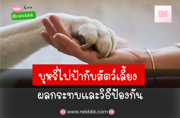 บุหรี่ไฟฟ้ากับสัตว์เลี้ยง ในบทความนี้ เราจะสำรวจผลกระทบต่าง ๆ และวิธีป้องกันเพื่อให้สัตว์เลี้ยงของคุณปลอดภัย